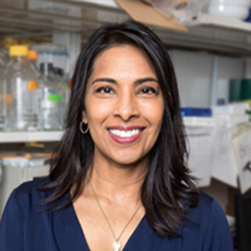 Sangeeta N. Bhatia